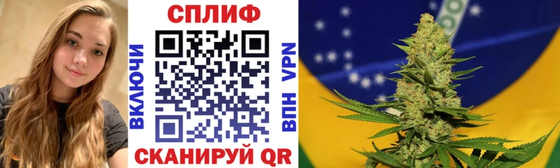 Марихуана конопля продажа наркотиков Дербент